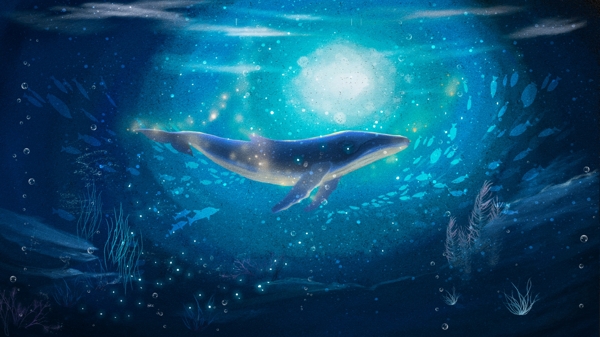 蓝色治愈系深海鲸鱼插画