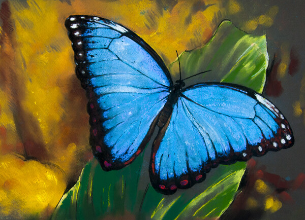 蓝色蝴蝶油画