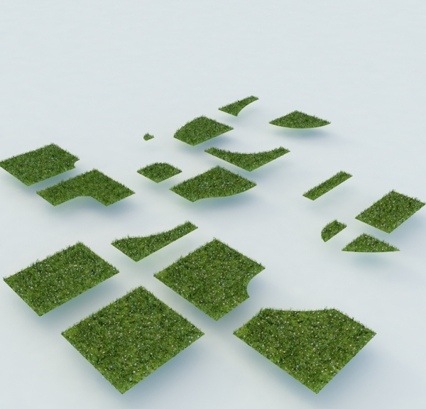 草地植物模型图片