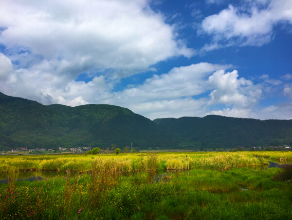 草原湿地