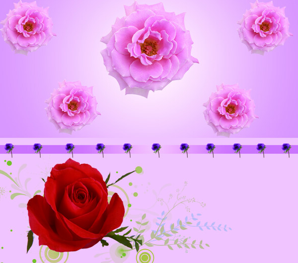 温馨玫瑰花花朵移门装饰画