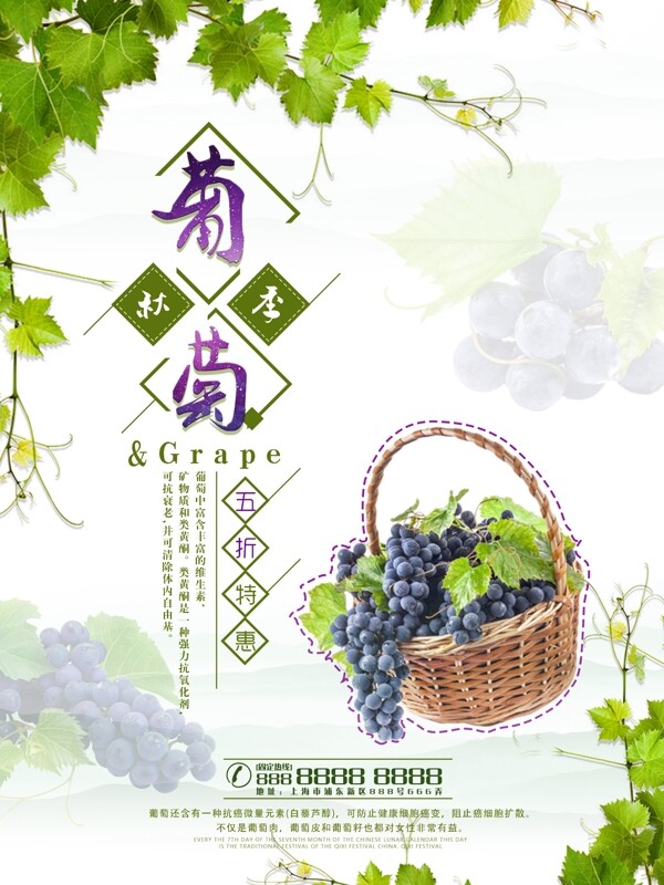 清新简约秋季葡萄水果海报