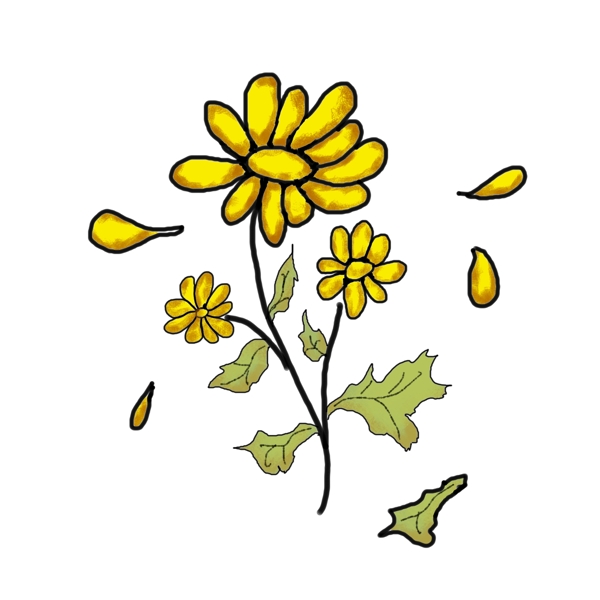 手绘风的黄色小菊花