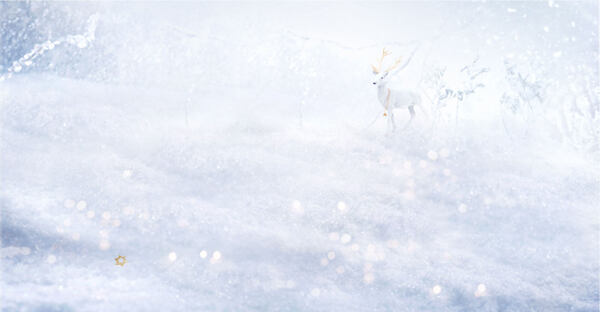 白色圣诞节雪地麋鹿背景素材