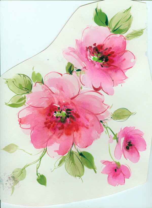 手绘水彩花卉图片