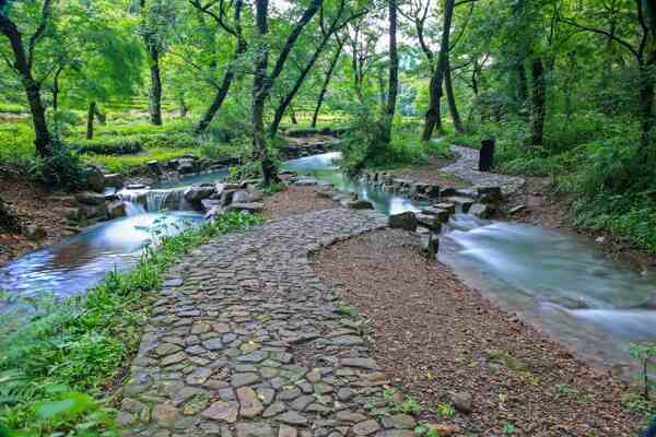 杭州西湖九溪风景