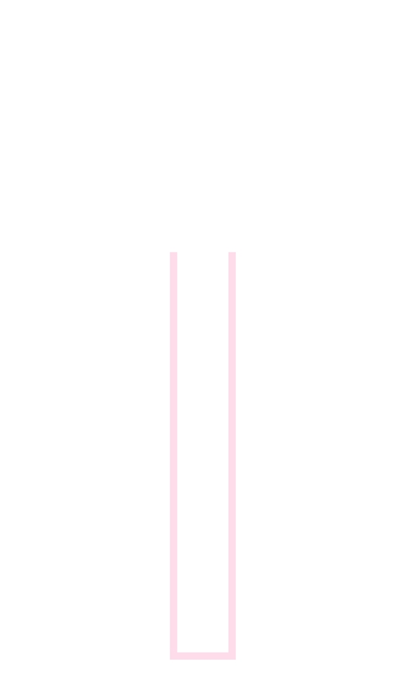 粉红色边框和白色矩形