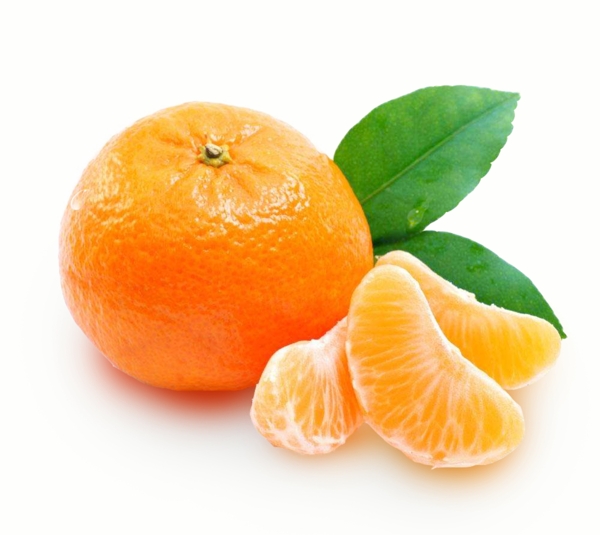 橘子橙色水果素材