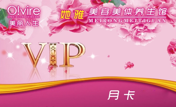 美容美体VIP2图片