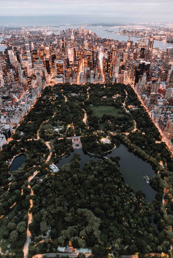 纽约中央公园
