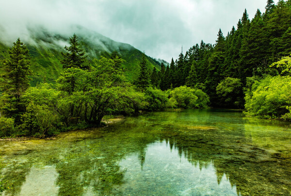 甘肃甘南风景