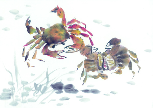 中华艺术绘画古画绘画鱼水生金鱼螃蟹中国古代绘画