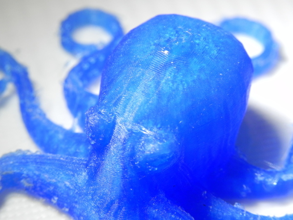 3D打印质量测试大小50mm章鱼