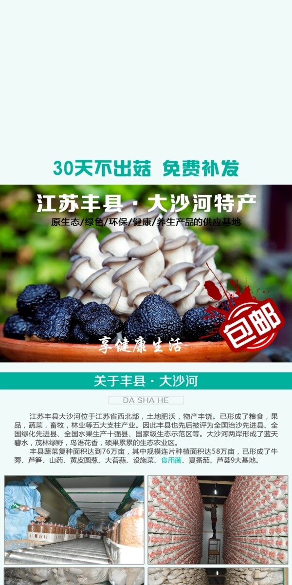 杏鲍菇菌包详情页图片