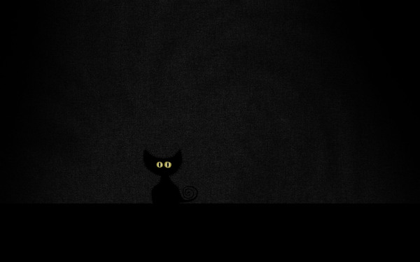 黑色的猫