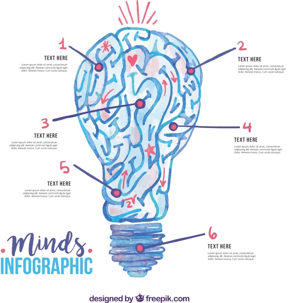 灯泡形状的人类大脑的信息图表