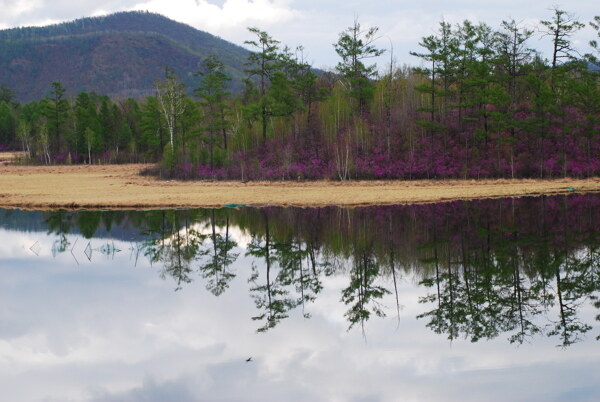 油画池塘