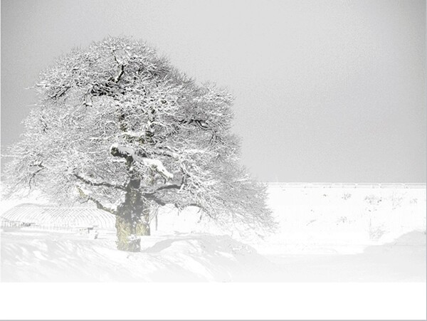 唯美下雪动态PPT模板