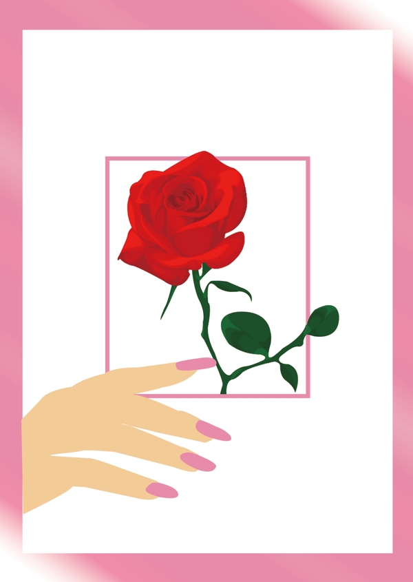 矢量插画女人的手和玫瑰花图片