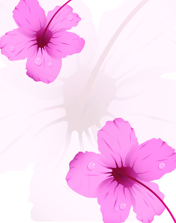 粉色花朵露珠移门图片