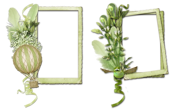 植物装饰相框png图片