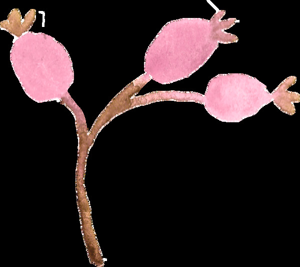 粉红树枝卡通透明装饰素材