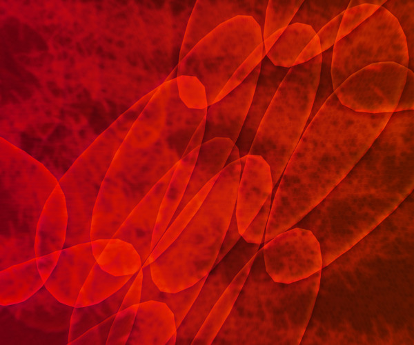 红细胞的纹理