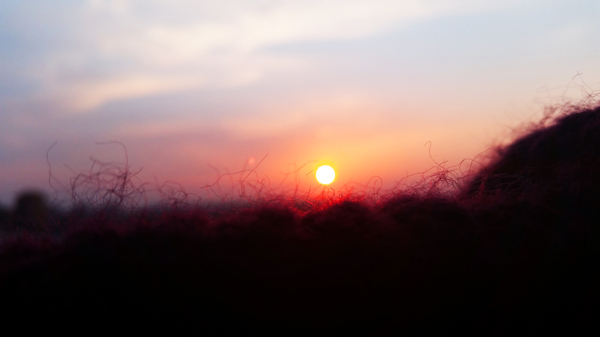 唯美夕阳风景图片