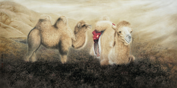 国画骆驼图片
