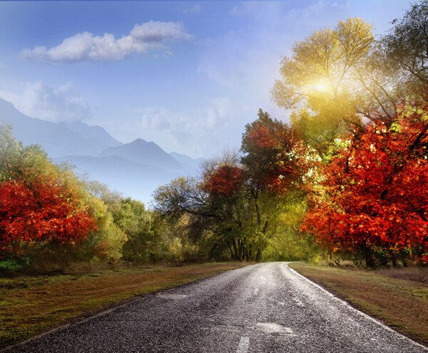 美丽秋天马路风景图片