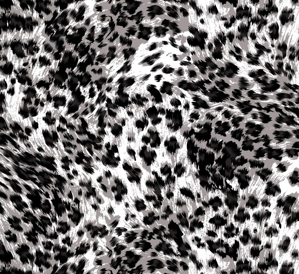 豹纹两色豹纹图片