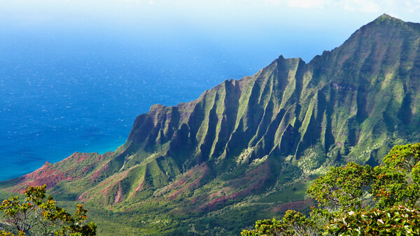 清新自然风景