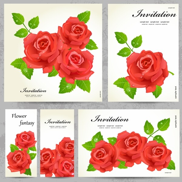 玫瑰花卡片设计矢量图