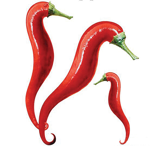 可爱造型的红辣椒