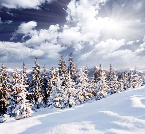 冬季雪景