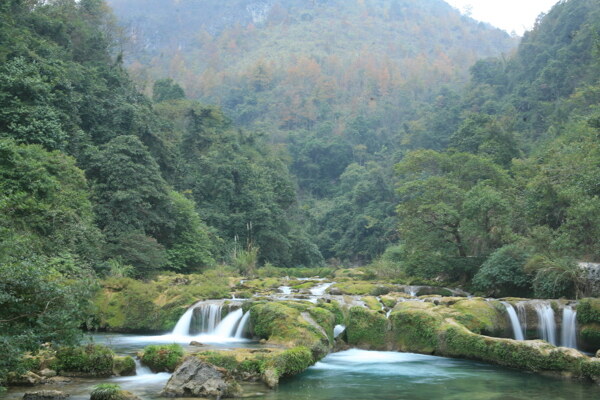 树植物水风景山