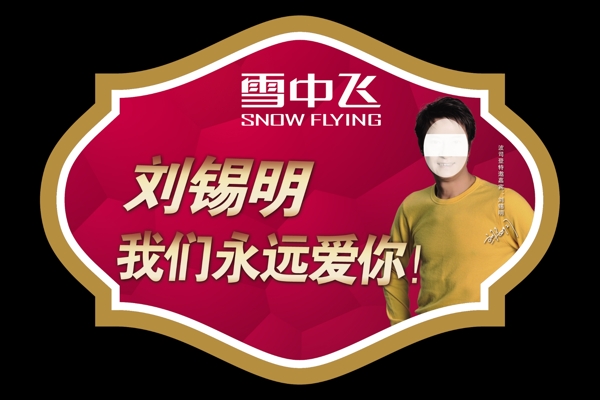 雪中飞图片