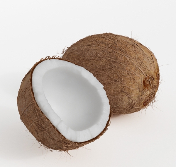 椰子三维模型图片