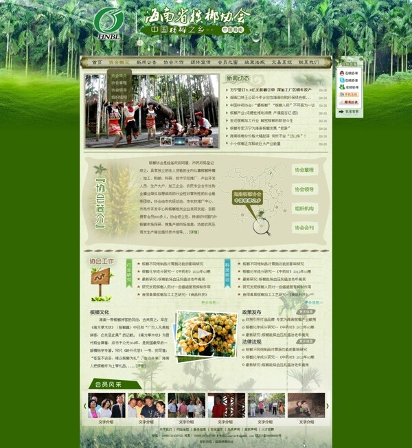 海南省槟榔协会首页图片