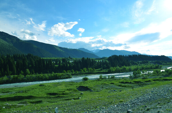 天山牧场图片