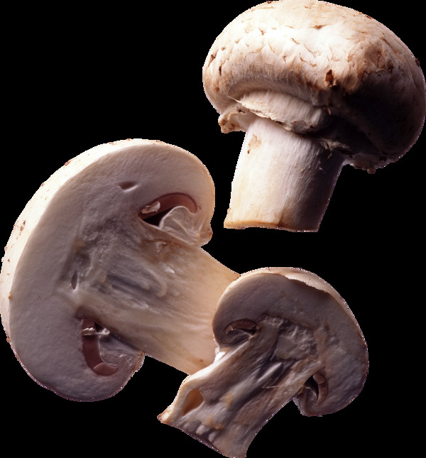 切开的香菇蘑菇免抠png透明图层素材