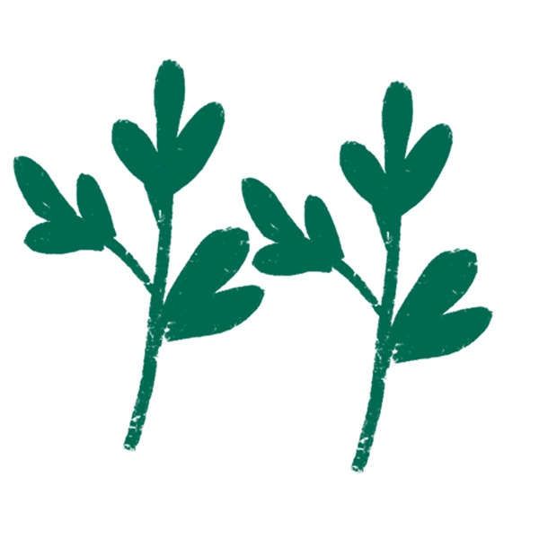 绿色植物的卡通叶子