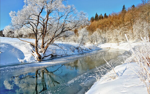 雪景图片