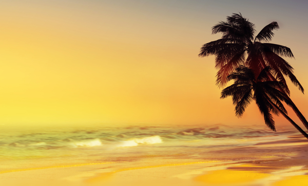 椰子树海浪风景图片