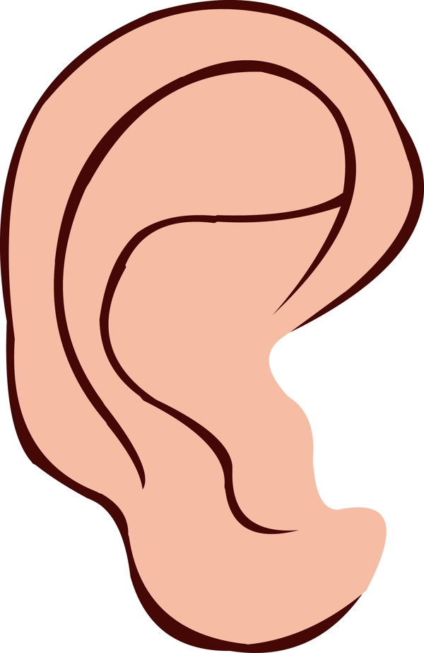 手绘人体五官耳朵结构