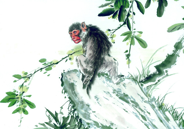 猴子十二生肖中国画0057
