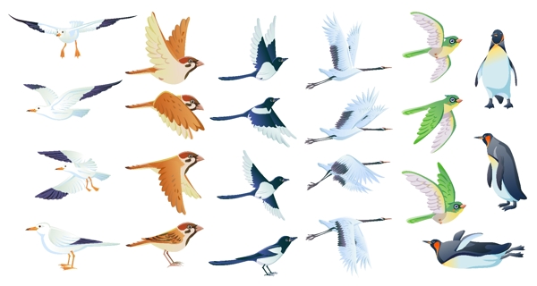 6种鸟类矢量图