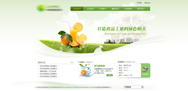 绿色清新食品网站模板PSD分层图片