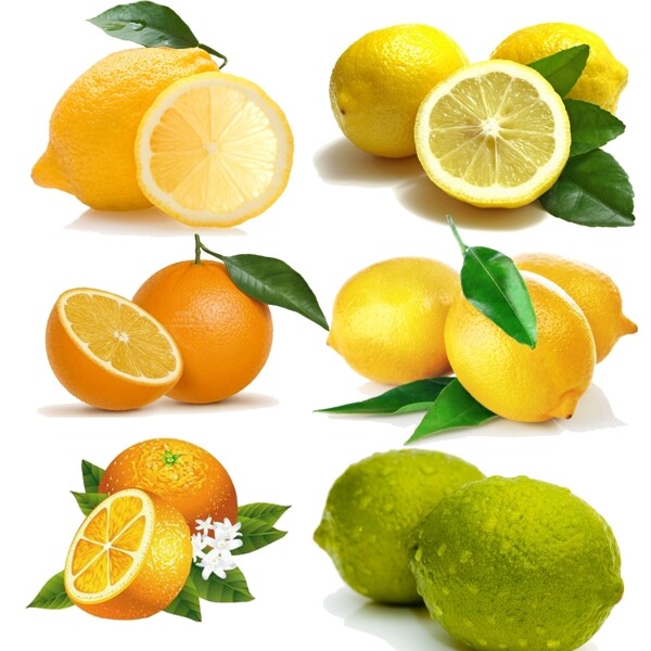 创意水果橙子柠檬PSD素材