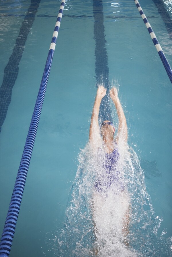 女性仰泳运动员图片